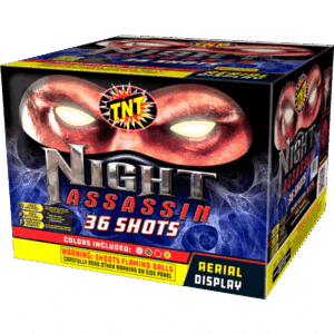 Night Assassin
